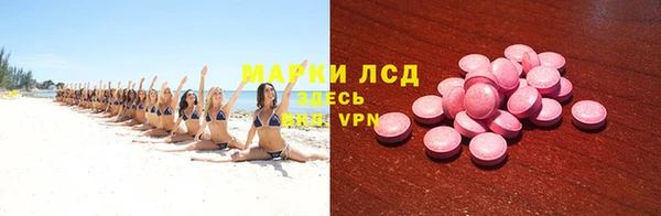 прущие грибы Краснослободск
