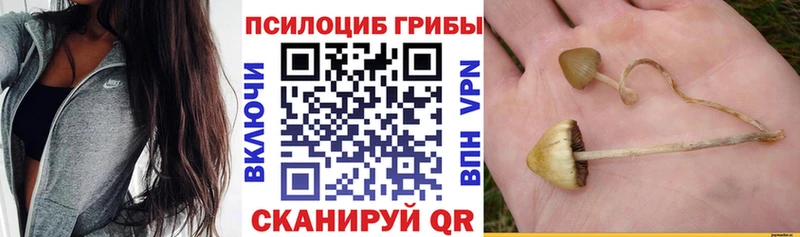 Псилоцибиновые грибы мухоморы Калининец